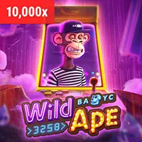 Minh họa các biện pháp bảo mật thông tin tại Kubet77