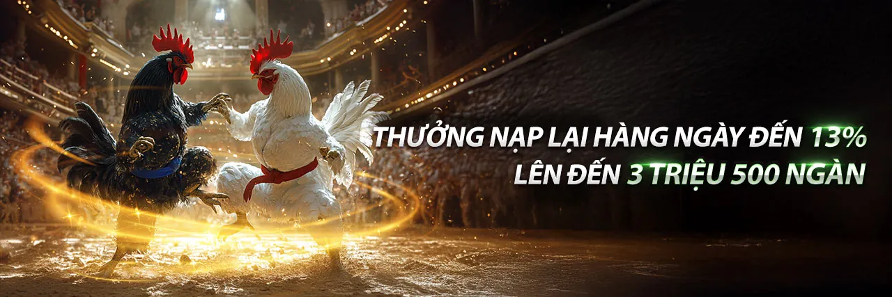 Sân đấu đá gà trực tuyến sôi động tại Kubet77 Link Mới